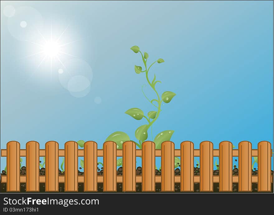 illustration green sprouts against the sky and the sun behind a wooden fence. illustration green sprouts against the sky and the sun behind a wooden fence