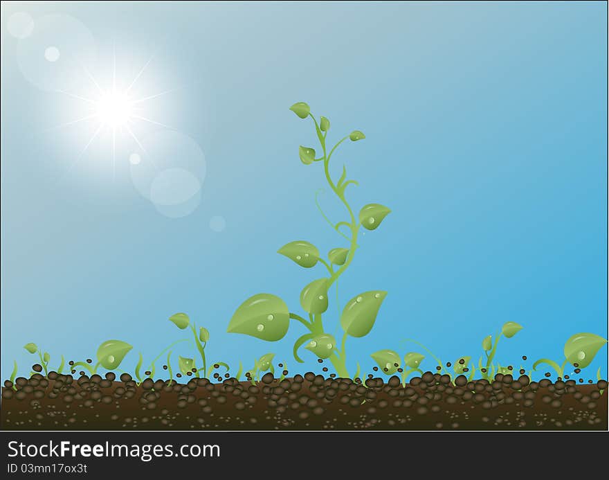 Green sprouts against the earth, the sky and the sun. Green sprouts against the earth, the sky and the sun