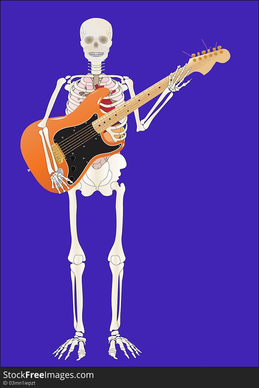 a skeleton of the person with a guitar in hands. a skeleton of the person with a guitar in hands