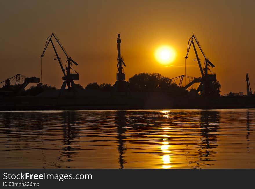 Sunset Cranes