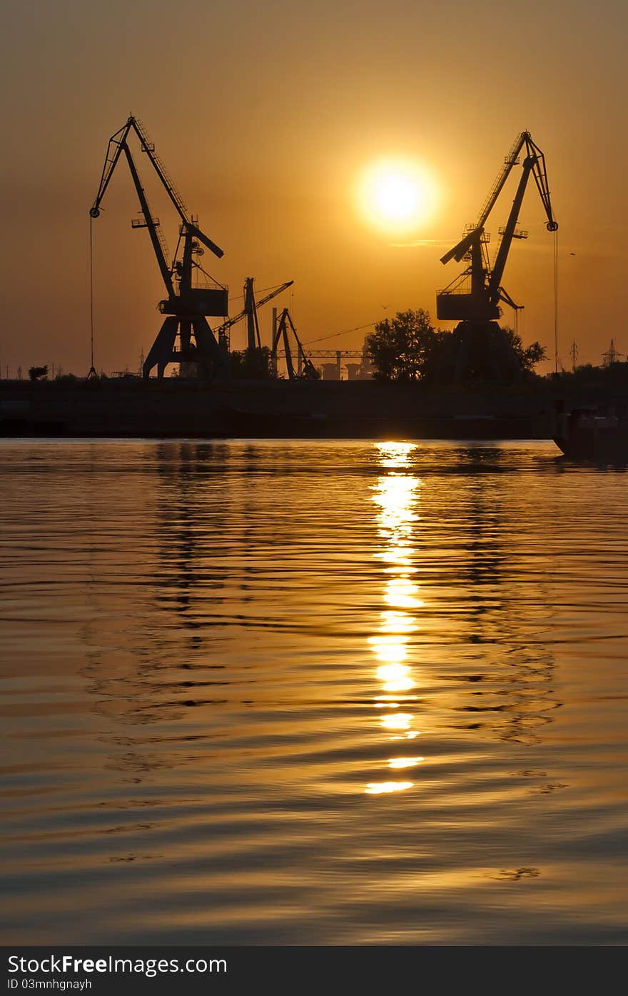 Sunset Cranes