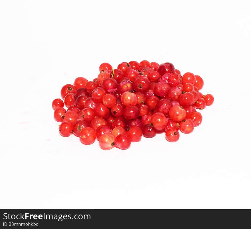 Red currant on white background