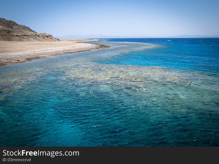 Coral Reef And Dive Site In Red Sea