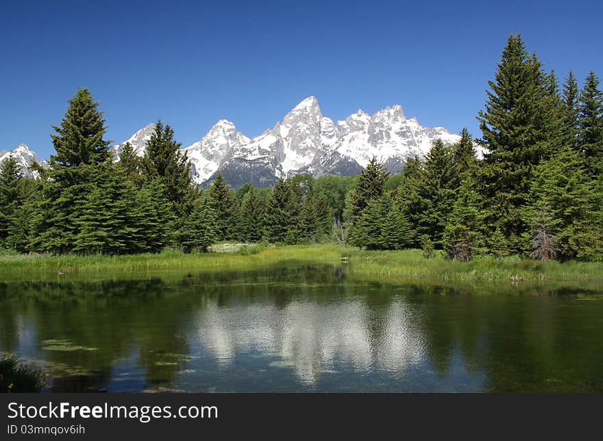 Schwabacher’s Landing