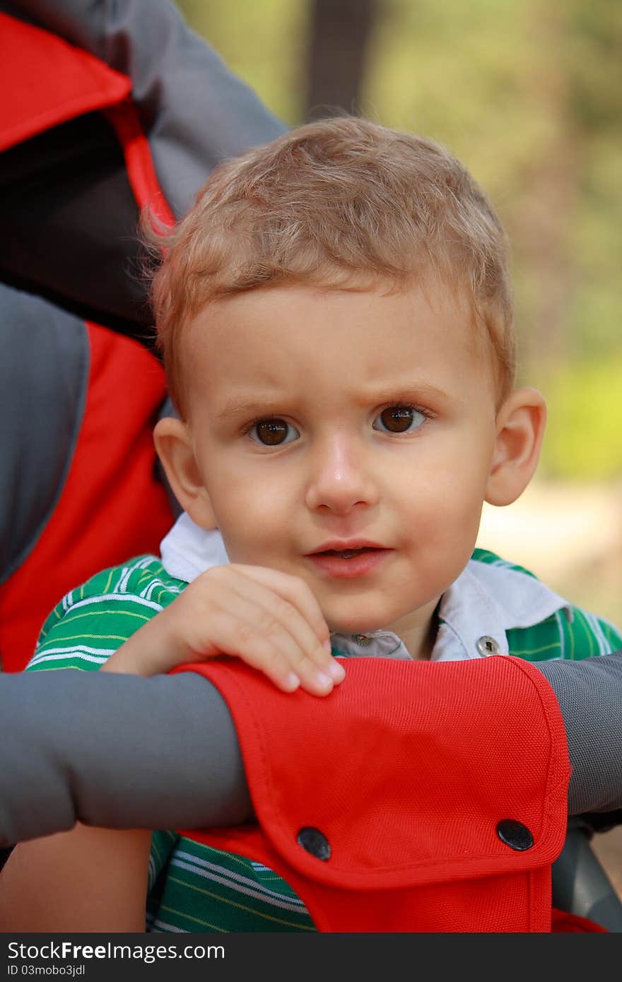 This photograph depicts a small boy in a wheelchair.