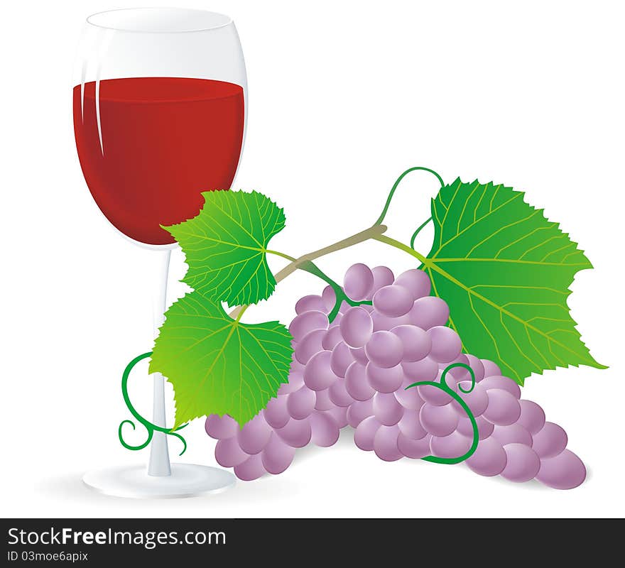 Grape And Wine