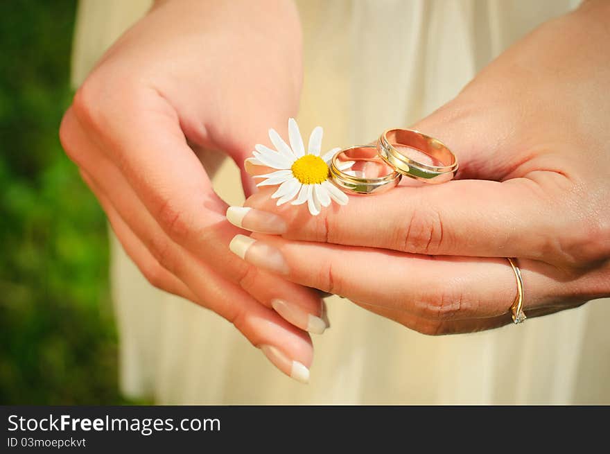 Rings of newly-married couple on hands of bride. Rings of newly-married couple on hands of bride