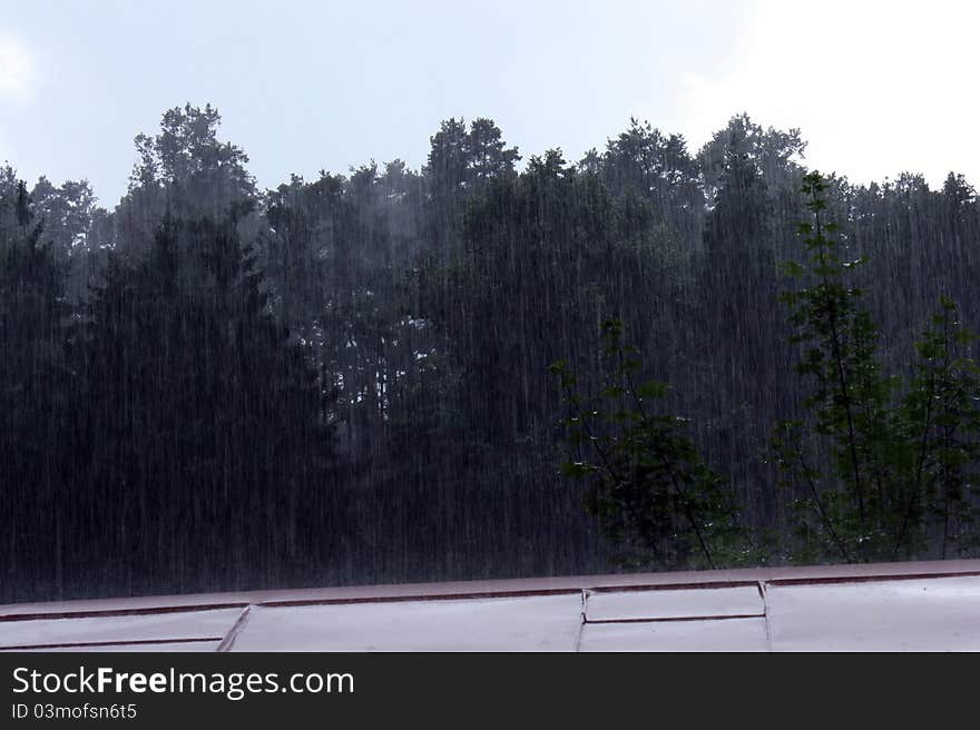 Rain in the camp