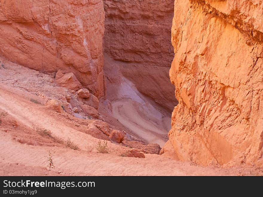 Path into the canyon