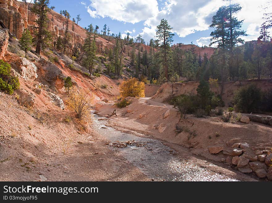 Path along a creek in the Utah mountains