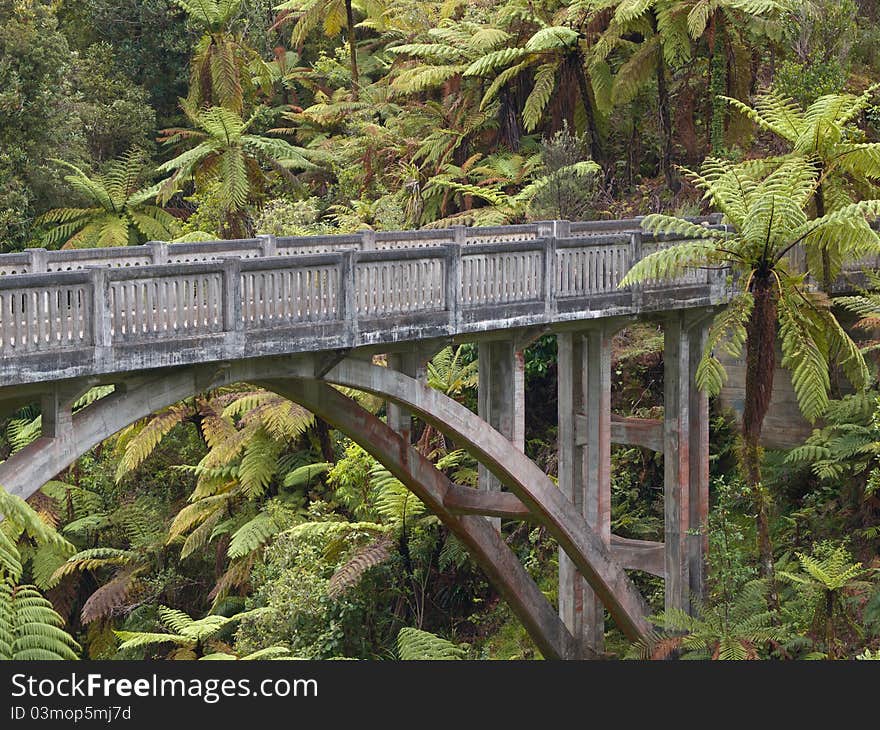 A concrete bridge in the middle of the jungle surrounded by palm trees. A concrete bridge in the middle of the jungle surrounded by palm trees