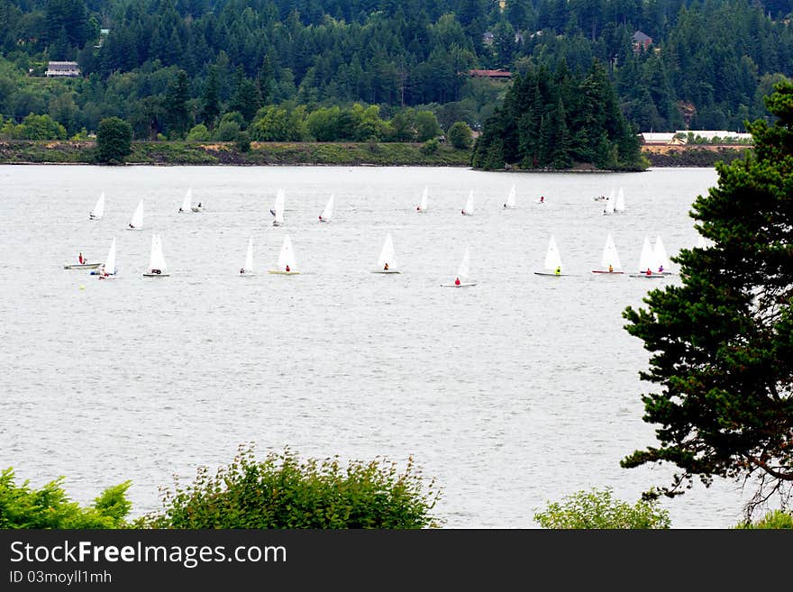 Sail boats on the river