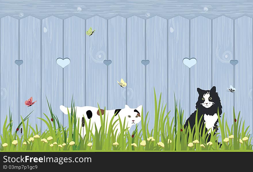 Two cats sitting in a grass field by a wooden fence