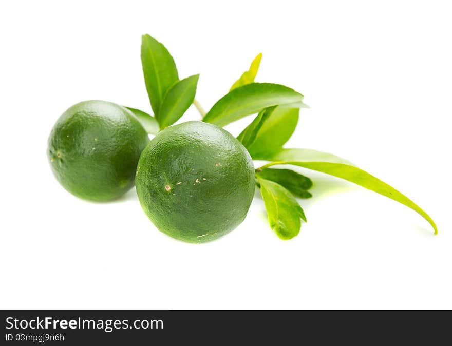 Green lemons with leaves