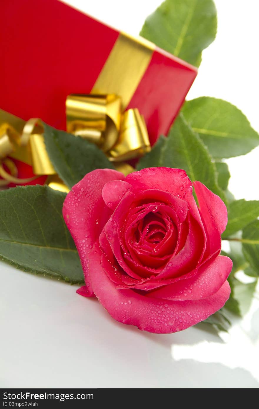 Beautiful red rose, a red gift box. on a white background. Beautiful red rose, a red gift box. on a white background