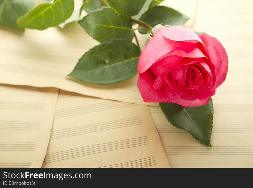 Old Sheet music sheets and a red rose. Old Sheet music sheets and a red rose