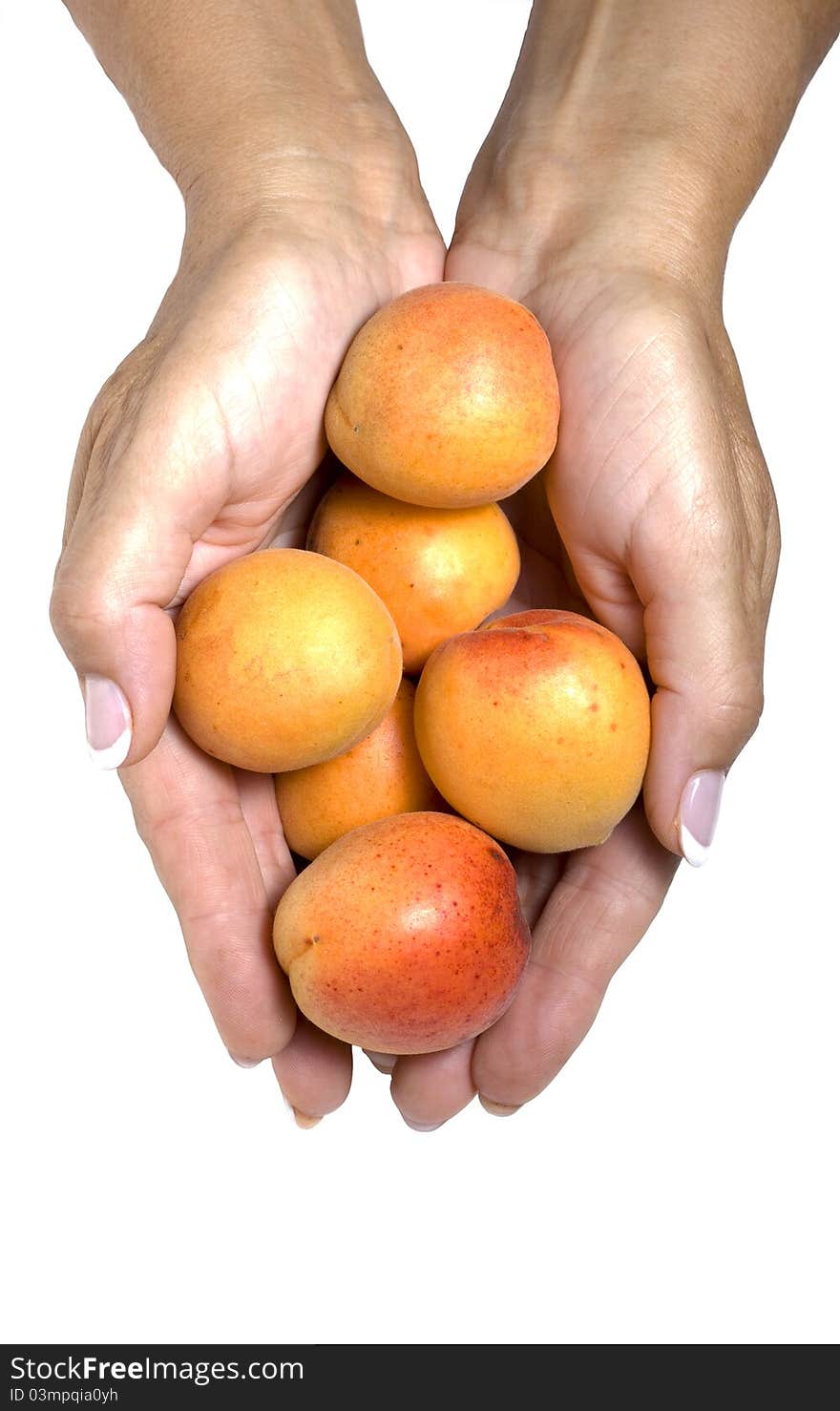 Six apricots in hand isolated on white background