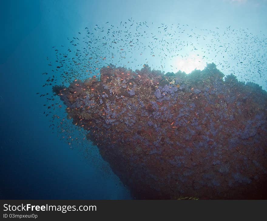 Sunrise Underwater View