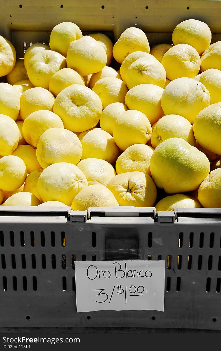 An oroblanco or sweetie is a cross between an acidless pomelo and a white grapefruit. It is slightly larger in size than a grapefruit but has fewer seeds and is sweeter. When ripe, its thick rind is bright green or golden in color. Road sale in California, USA. An oroblanco or sweetie is a cross between an acidless pomelo and a white grapefruit. It is slightly larger in size than a grapefruit but has fewer seeds and is sweeter. When ripe, its thick rind is bright green or golden in color. Road sale in California, USA