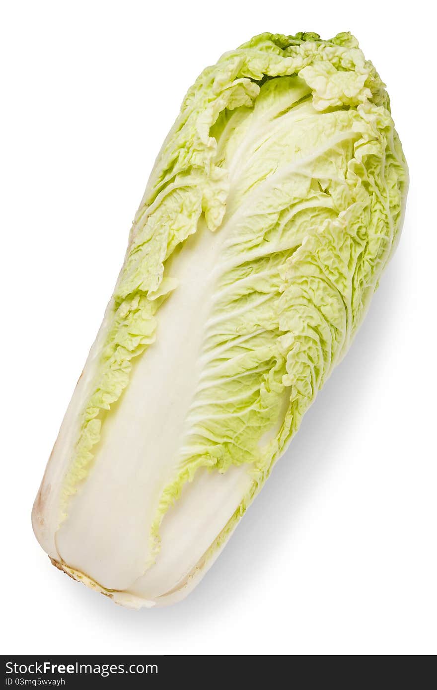 Celery cabbage isolated on white