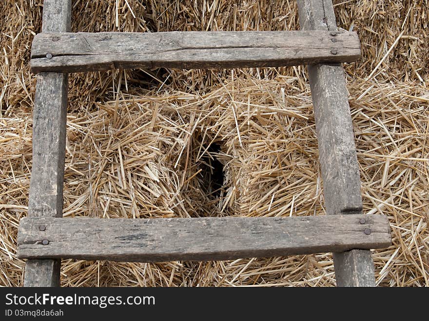 Ladder Against Haystack