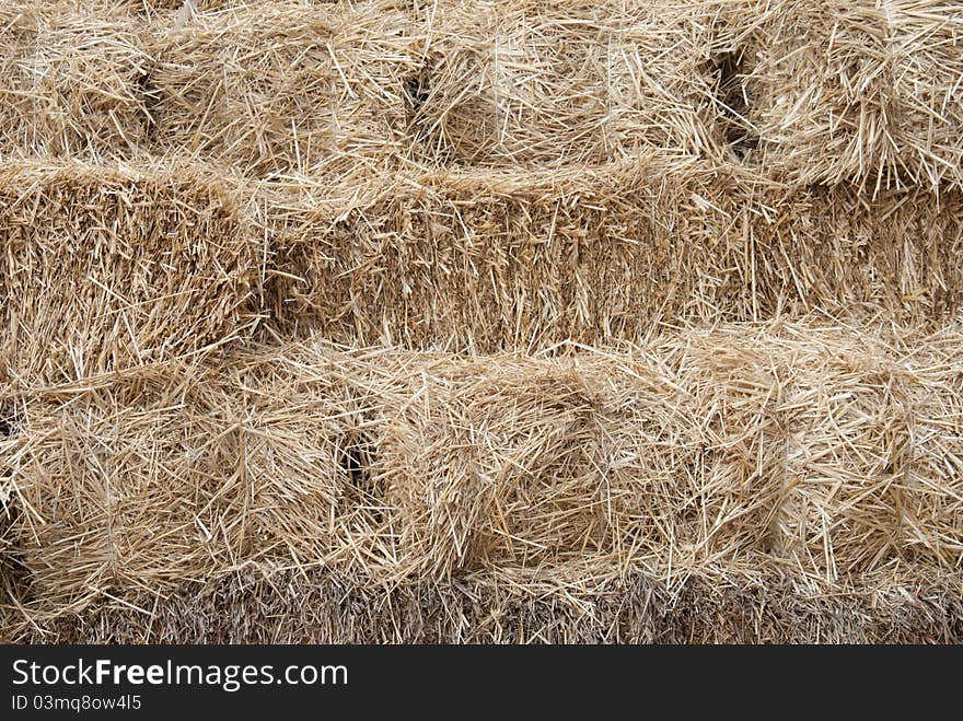 Haystack in a villager yard