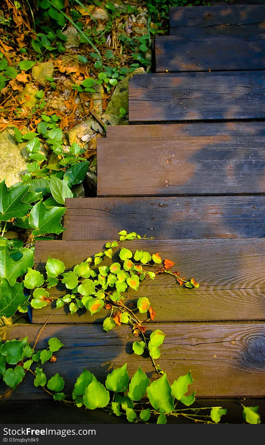 Outdoor wood stair