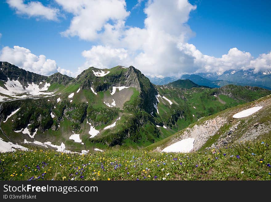 Mountain landscape with flowers and blue sky