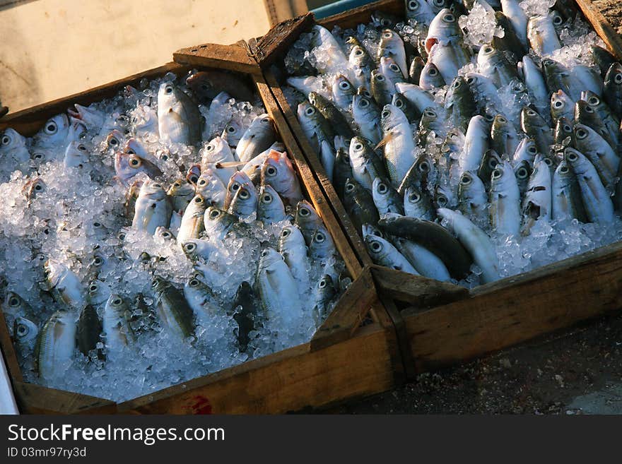 Small fish at the market