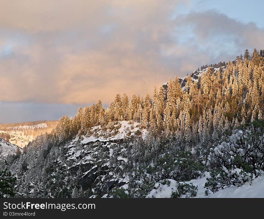 Late spring snow storm in yosemite valley.