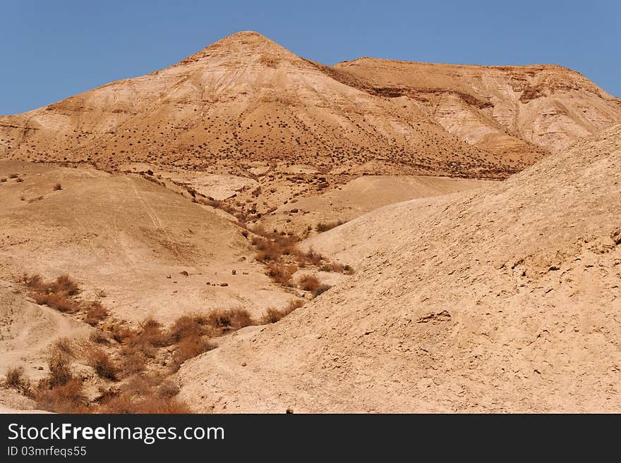 Dry creek in the stone desert in bright summer day