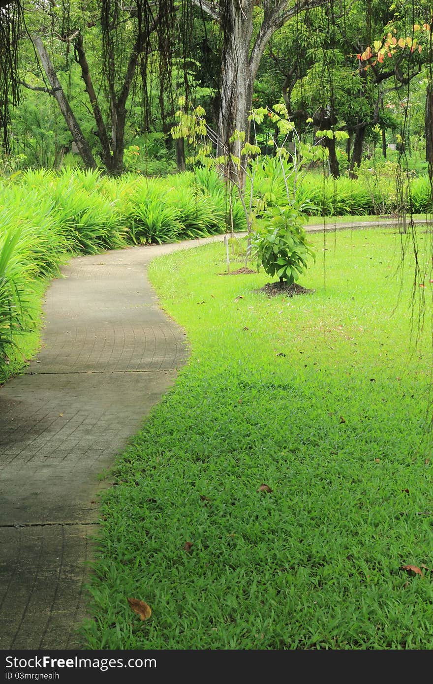 Pathway in the park