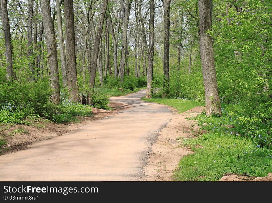 Walking Path