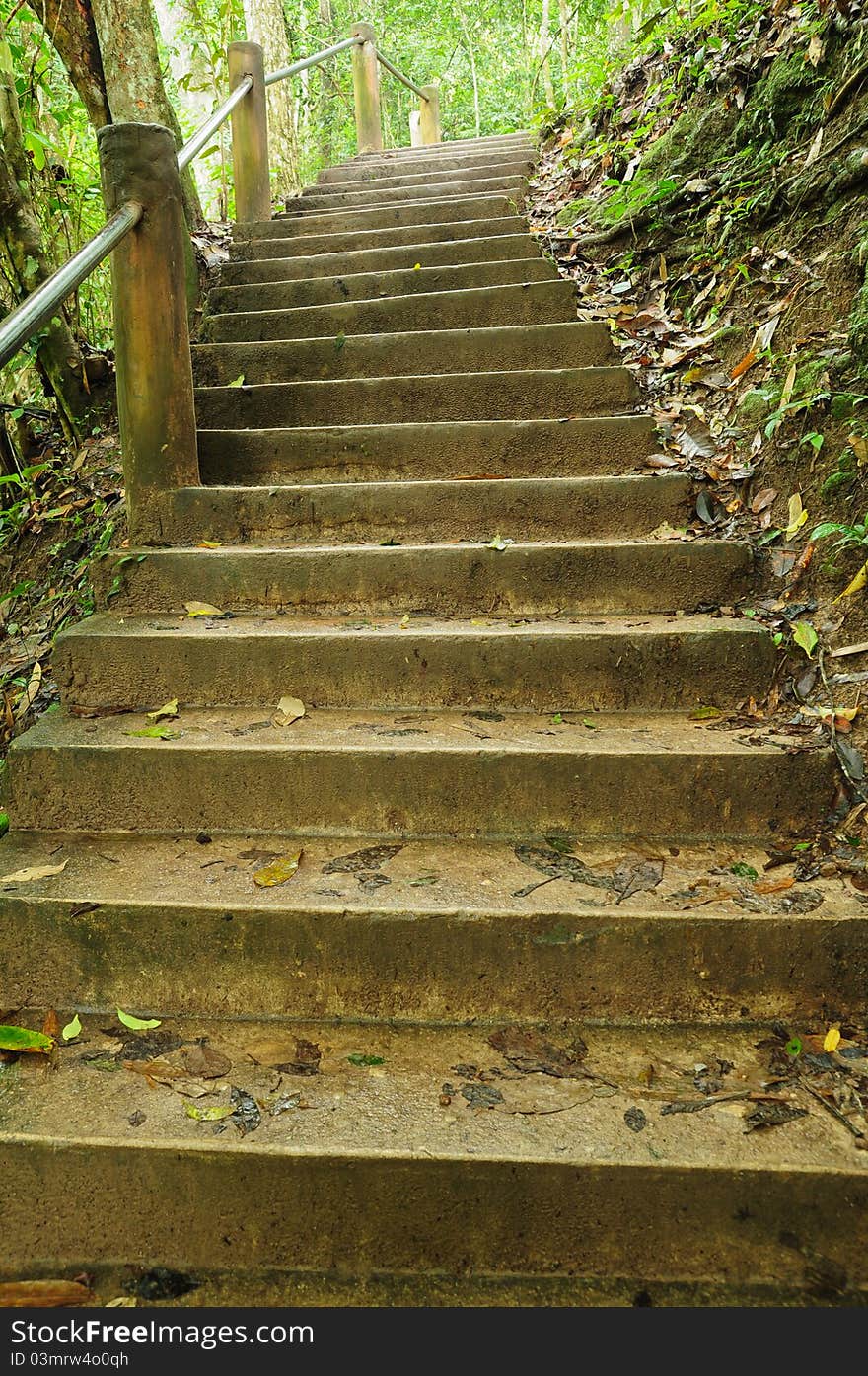 Image of stone stair on nature park