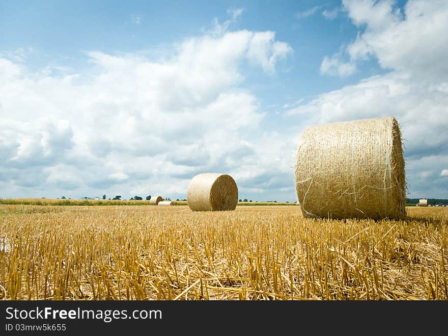 Harvested field with straw bales in summer