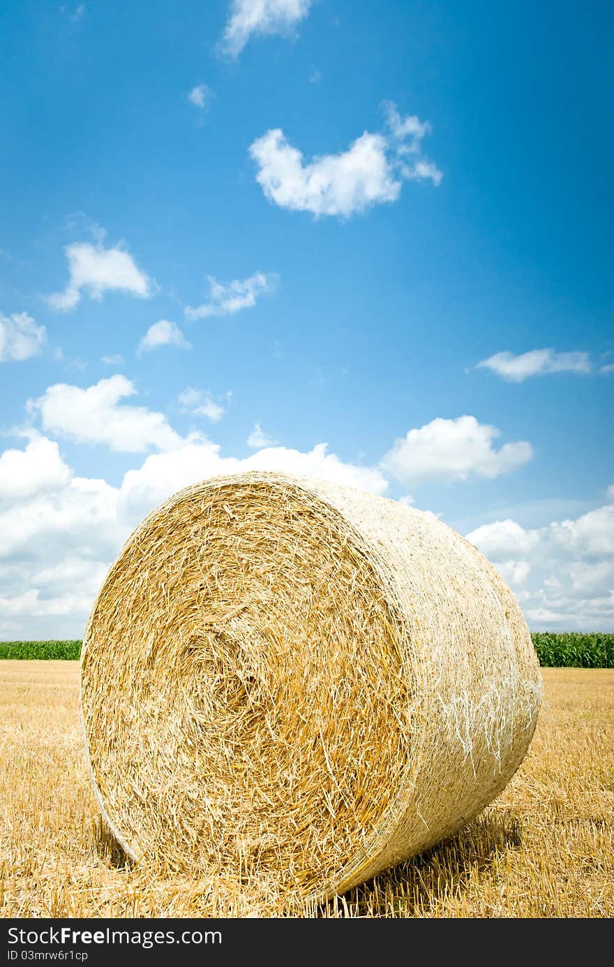 Harvested field with straw bales in summer