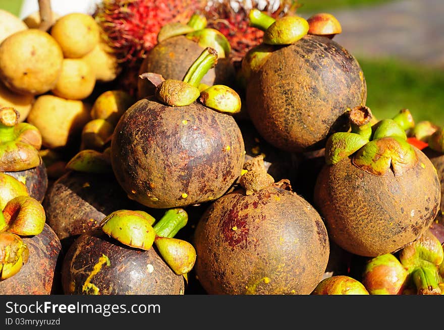 Image of mangosteen fruit in thailand