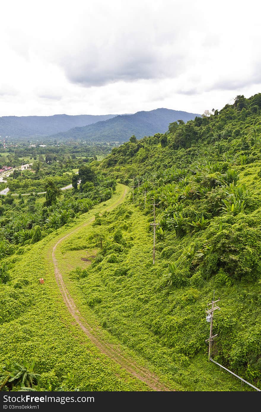 Green pathway beside the hill