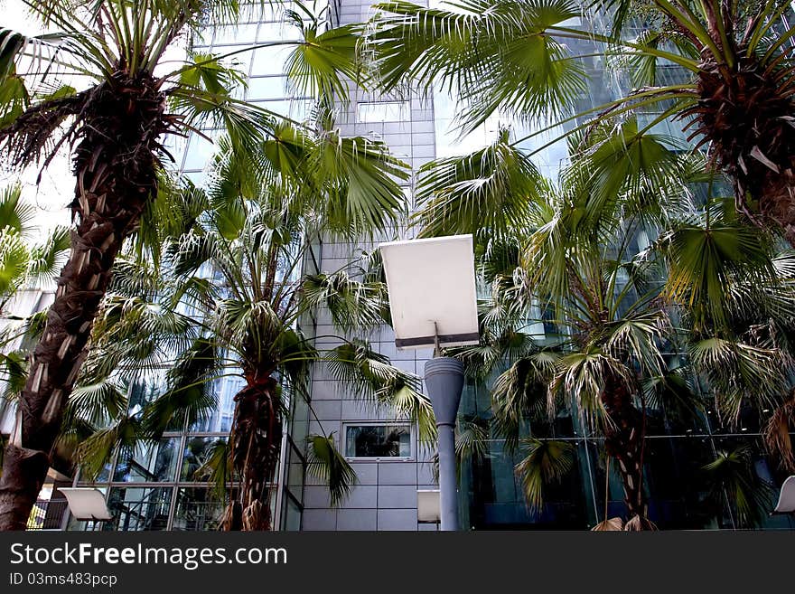 Street light against the plants and building background. Street light against the plants and building background