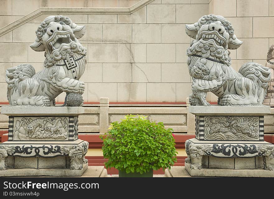 Lion statue in fron of Chinese temple