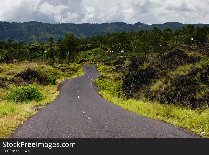 Curve road through to jungle