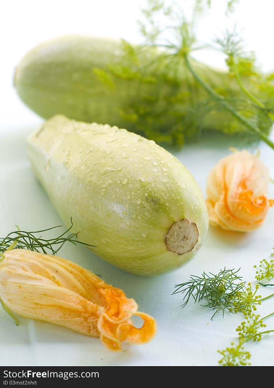 Zucchini with zucchini flower on background. Selective focus