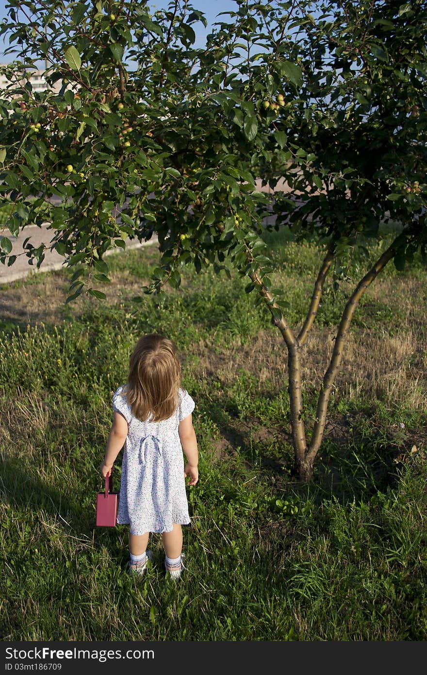 Blonde little girl outdoors in summer