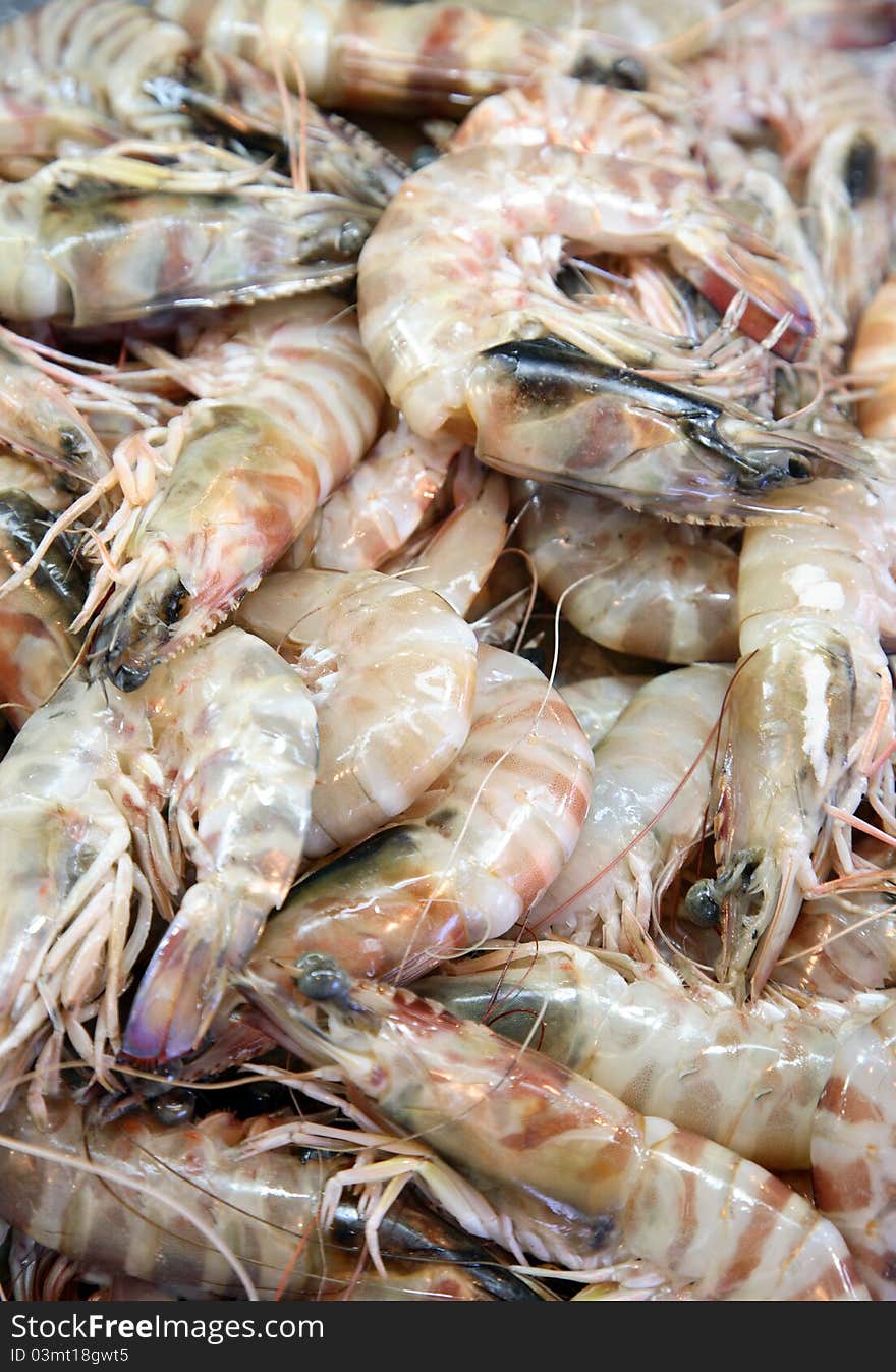 Prawns for sale Fish Market