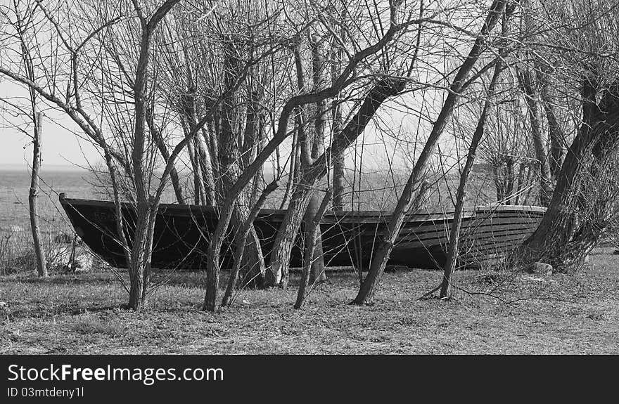 Old boat and trees near to Kaltene. Latvia.Black and white image. Old boat and trees near to Kaltene. Latvia.Black and white image.