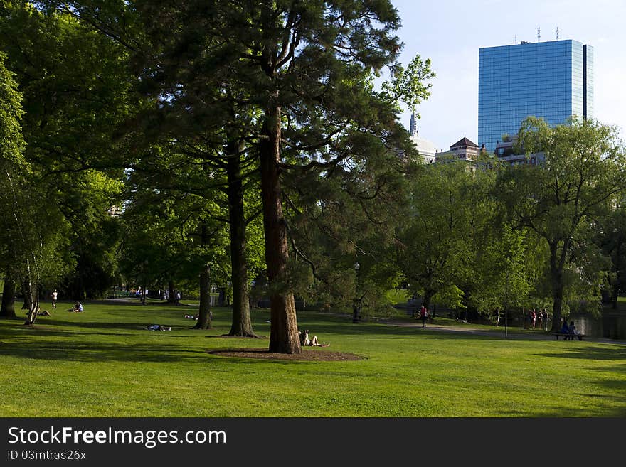 Boston Public Garden in the Summer