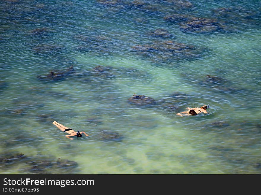 Snorkeling together in the sea at national park