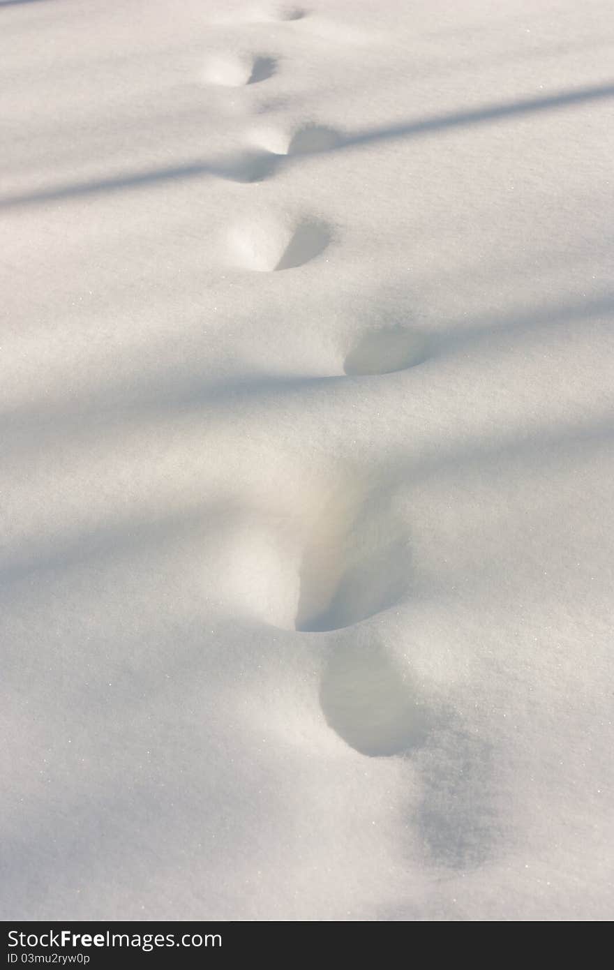 Traces on snow