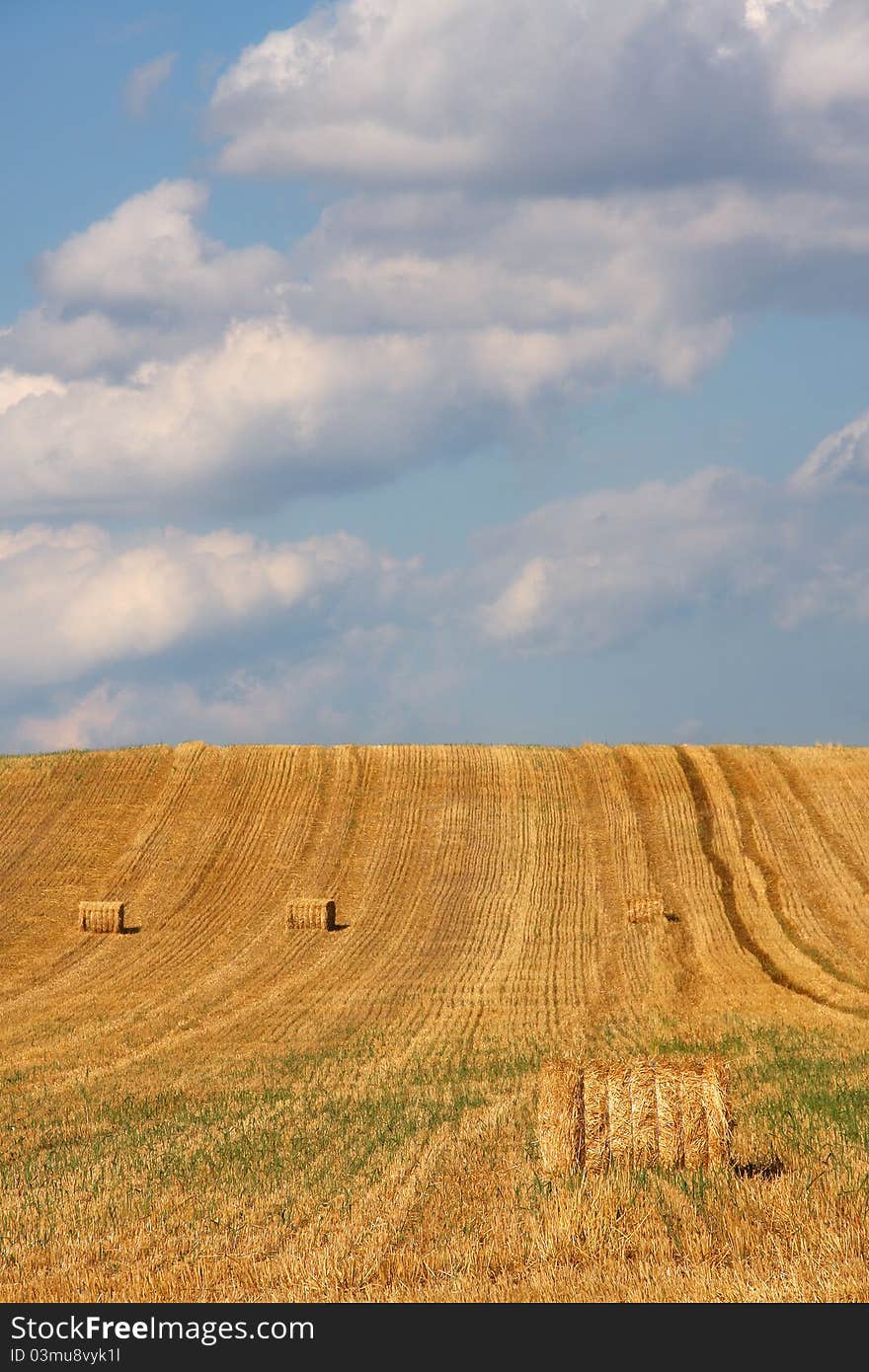 Square hay bales in the field