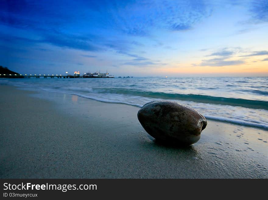 Desiccated Coconut on the beach